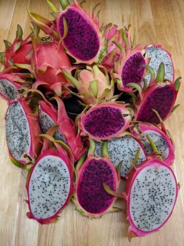 Vivid Purpurea Dragon Fruit Cactus (hylocereus polyrhizus X undatus) - Image 9