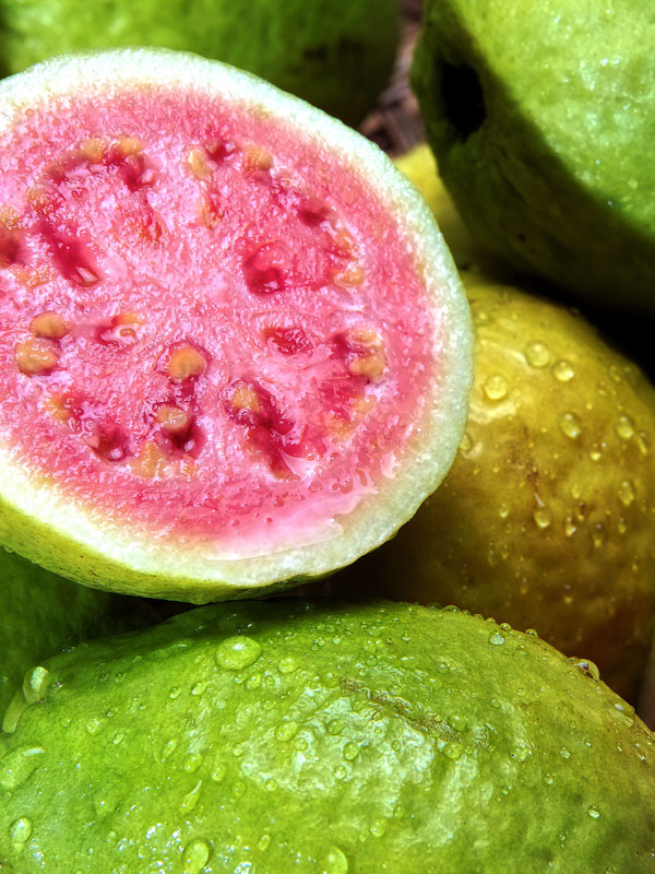 Bonsai Guava 100 PCS Seeds Psidium Guajava Thailand Pink Fruit Free Shipping New 