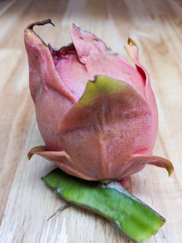 Details about   Hai'nan Pink Pitaya Dragon Fruit Cactus Plant Bonsai Tasty Sweet Pitaya 100Seeds 