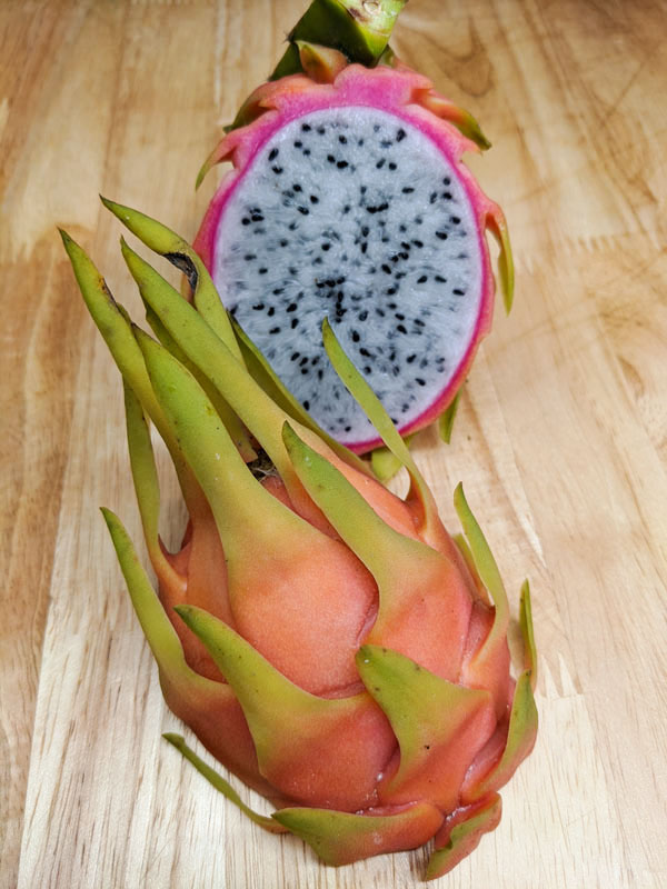 Dragon Fruit, large