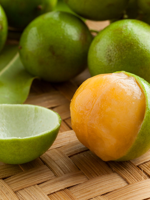 Lg Spanish Lime Fruit Tree melicoccus Bijugatus UrbanTropicals Lg Spanish Lime Fruit Tree melicoccus Bijugatus UrbanTropicals