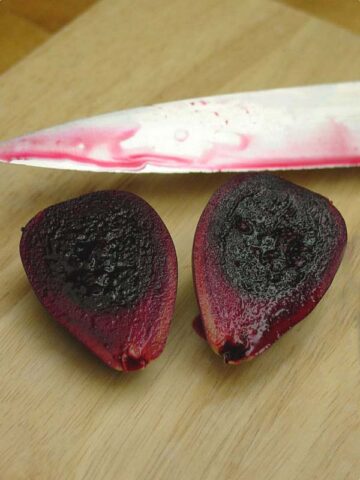 Alternative view of Lg. Rare Elongated Form Indian Fig Pad Cactus Plant (opuntia ficus indica)