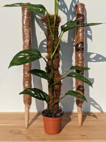 2 Stackable Coco Grow Poles 23 (inches tall)